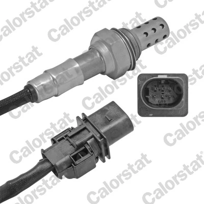 Oxygen Sensor